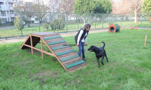 Bayraklı’da evcil hayvanlar için ‘Pati Park’