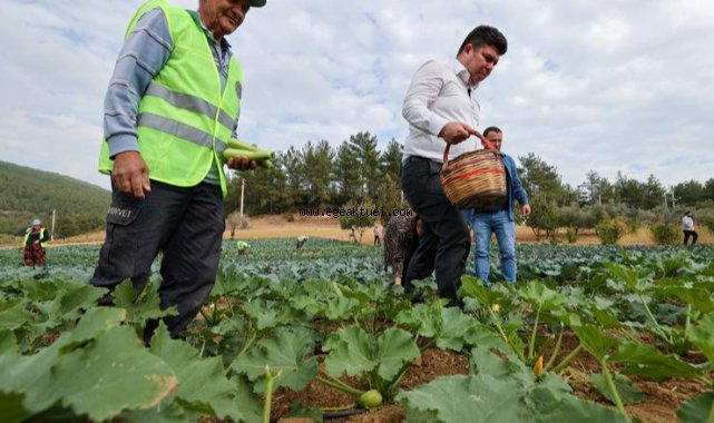 Buca yeniden tarım kenti oluyor