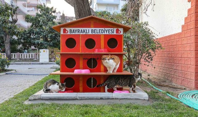 Bayraklı Belediyesi can dostları unutmadı