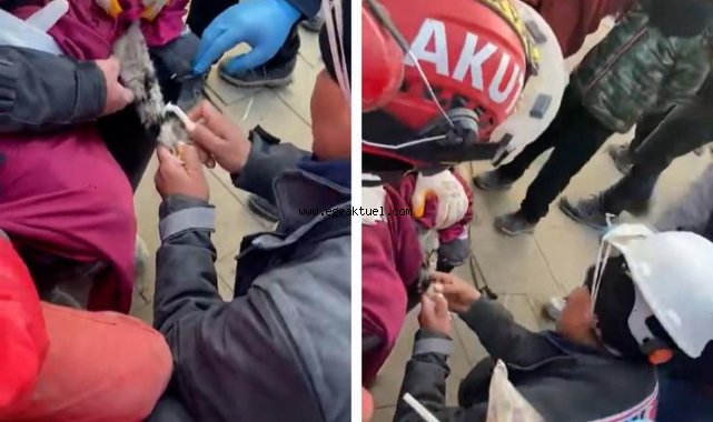 Enkazdan Kurtarılan kediye MAKUR desteği