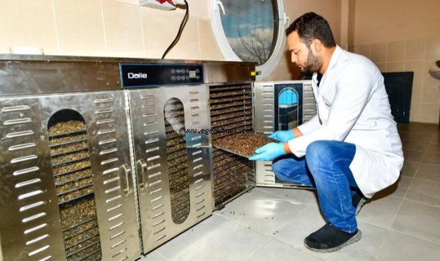 İzmir Büyükşehir Belediyesi can dostlar için mama üretimine başladı