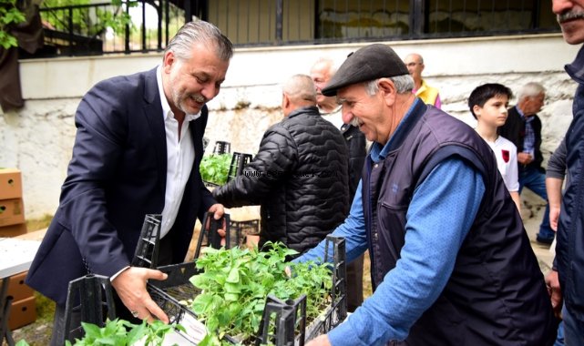 Bornova’da yerel üreticiye 500 bin fide