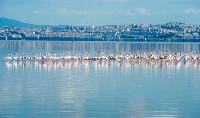 “İzmir Körfezi’nde müsilaj yok”