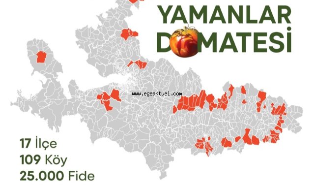 Karşıyaka’nın Yamanlar domatesi İzmir’in 17 ilçesine yayılıyor