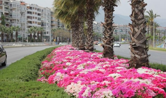 İzmir çiçek açtı