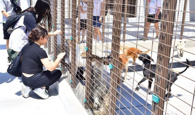 İzmirliler PAKOFEST’te patili dostlarla buluştu