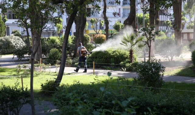 Karşıyaka'da sinek ve haşereyle etkin mücadele