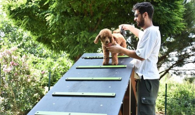 Kemalpaşa’da Can Dostlar İçin Pati Park