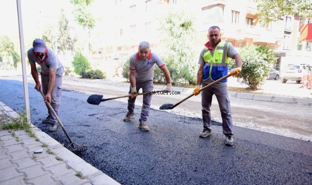 Bornova’da asfalt serimleri devam ediyor