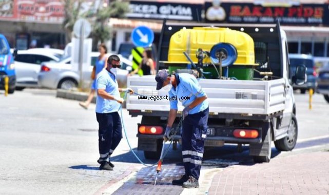 İklim krizi sivrisinek popülasyonunu artırdı