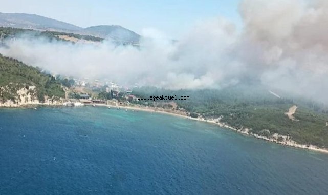 İzmir’de iki ayrı yerde orman yangını