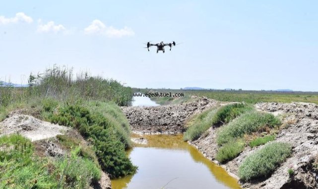 İzmir’de sivrisinek ile dronlu mücadele