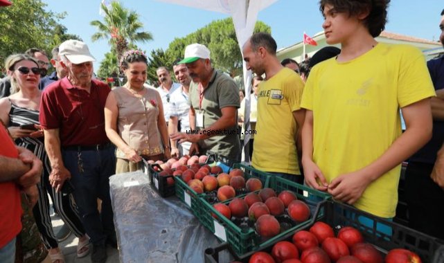Şen Şeftali Şenliği 16 Temmuz’da Efes Selçuk’ta