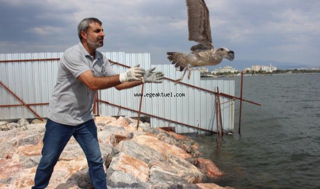 Yorgun martılar Karşıyaka'da emin ellerde!