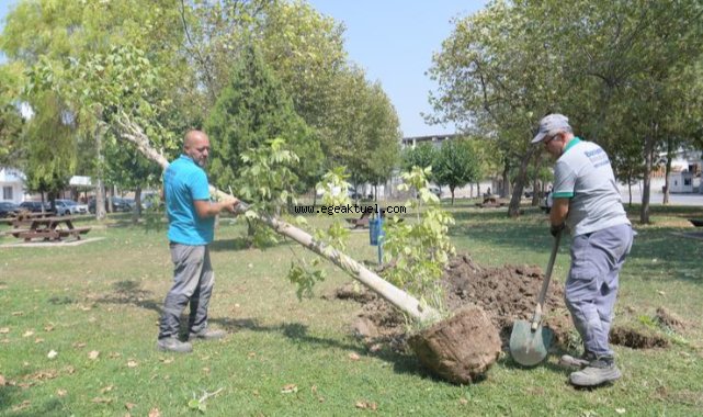 Bornova’da park yenileme hamlesi