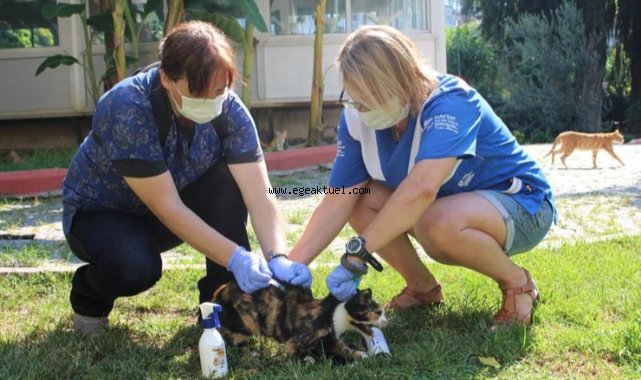 Karşıyaka Belediyesi, 8 ayda 24 bin can dosta hizmet sundu