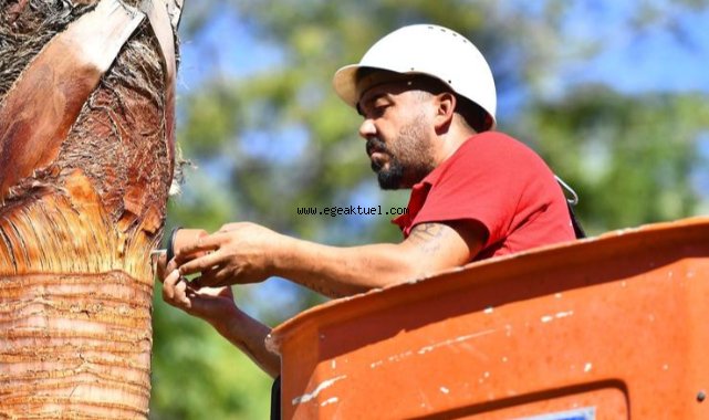 İzmir’in palmiyeleri için alarm sistemi