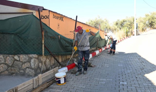 Kavacık, Üzüm Festivali'ne hazır!