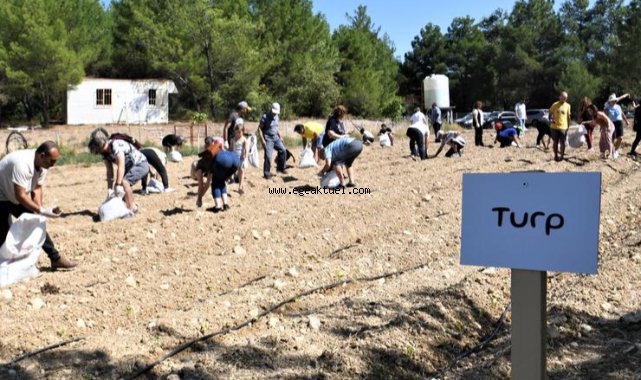 Kışlık sebze tohumları Bornova Belediyesi’nden