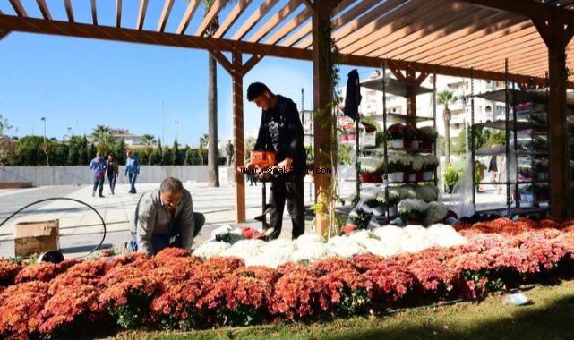 100. Yıl Uğur Mumcu Parkı kasımpatlarıyla renklendi