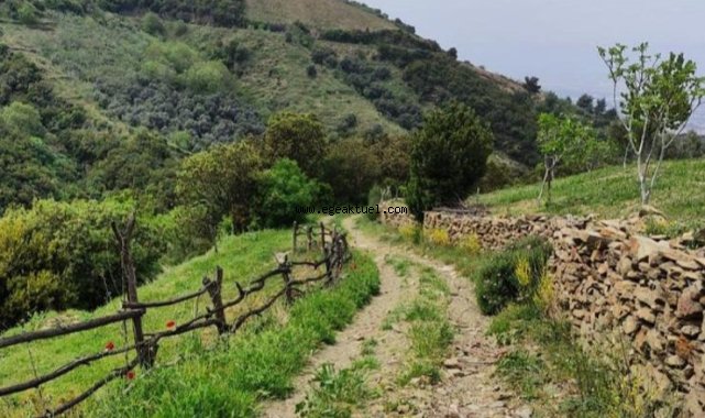 Efeler Yolu, En İyi 100 Hikâye listesinde