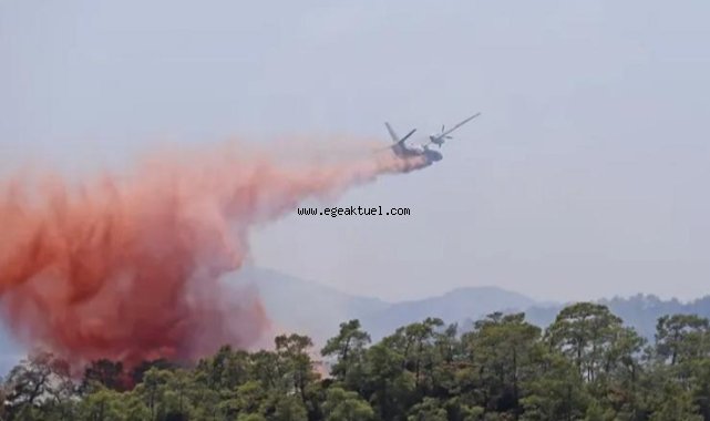 İzmir'de ormanlık alanda yangın çıktı!