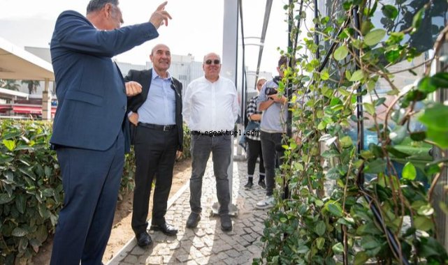 Yağmur suyu hasadı ile ekolojik duraklar