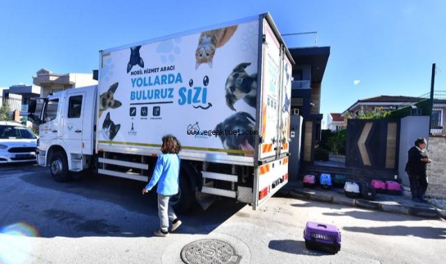 Bir yılda bin 600 hayvan mahallesinde kısırlaştırıldı