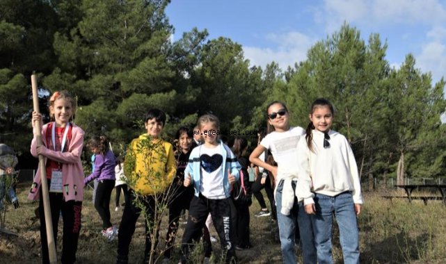 Bornova’da nar ve ayva bahçeleri yeniden canlanıyor