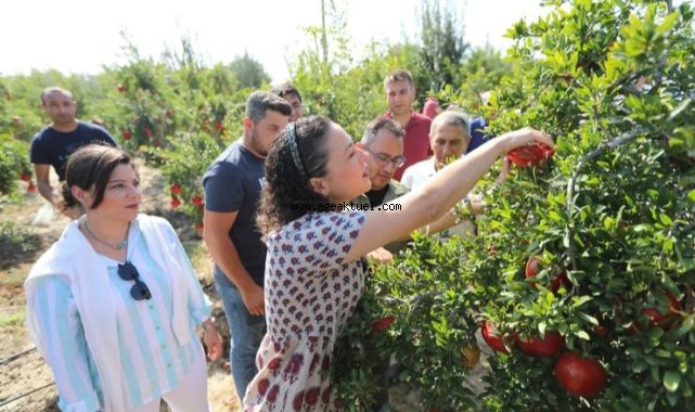 Ücretsiz Toprak Analizi Devam Ediyor