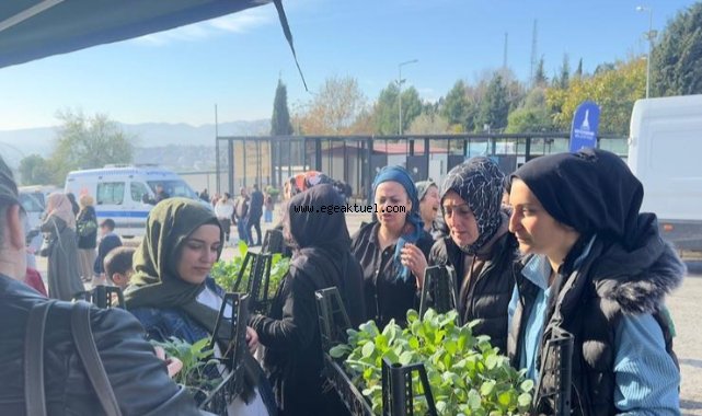 Mahalle bostanı üreticileri artık sertifikalı