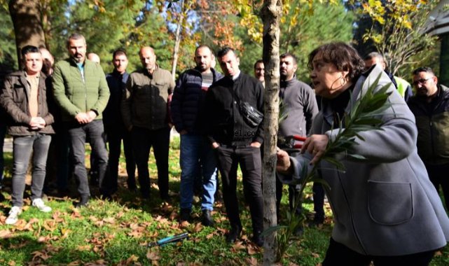 Yeşil Bornova’da daha estetik görünüm için budama eğitimi