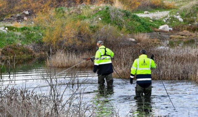 ​300 bin noktada sivrisinek mücadelesi
