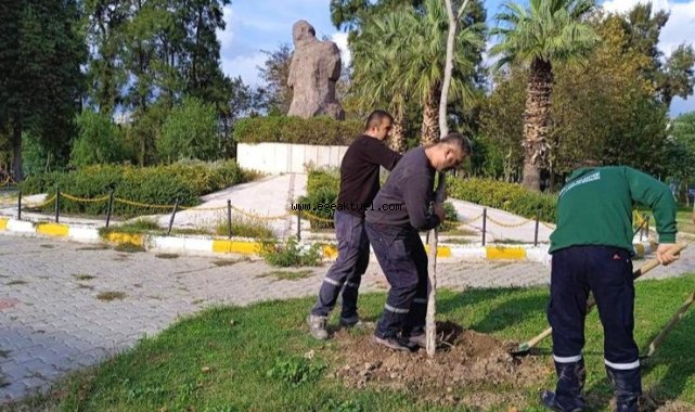 5 yılda 13 bin ağaç dikildi