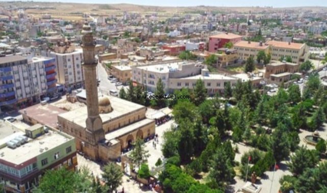 81 il 100 il olacak mı?