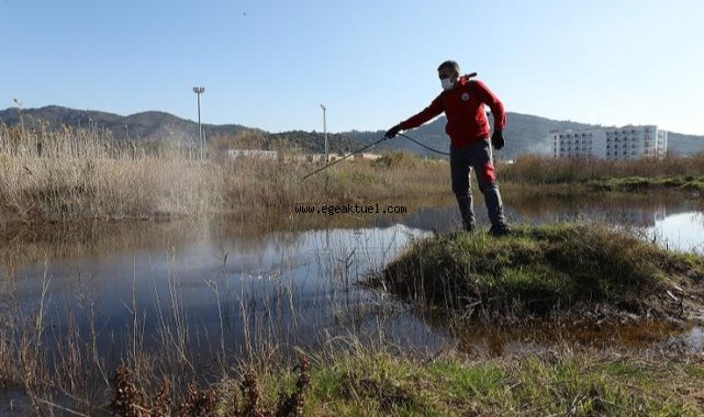 Menderes’te Larva Mücadelesi
