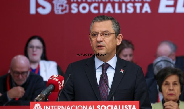 Özel, Sosyalist Enternasyonal'de
