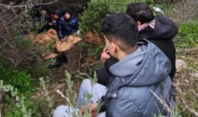 Türkiye'yi terk etmek isteyen göçmenler yakalandı