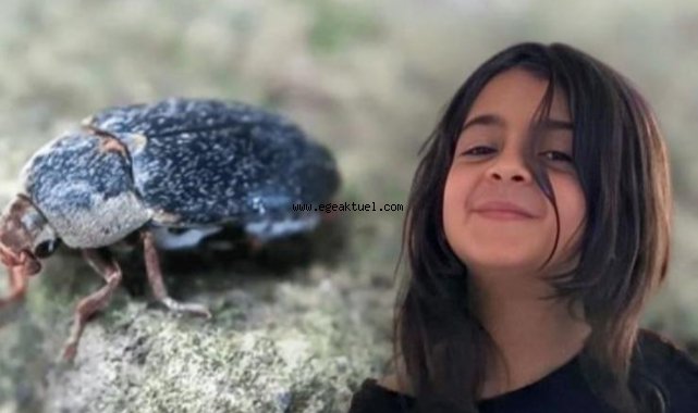 Narin'in cinayetinde 'dedektif böcek' formülü