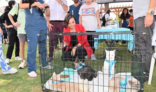 Karabağlar patili dostlar için buluşuyor