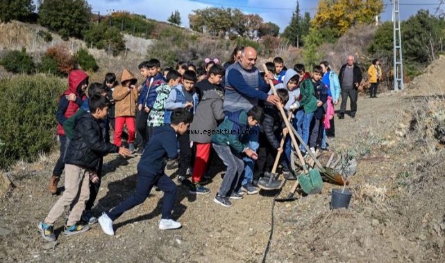 Bornova’da 24 Kasım hediyesi: Ölmez ağaç