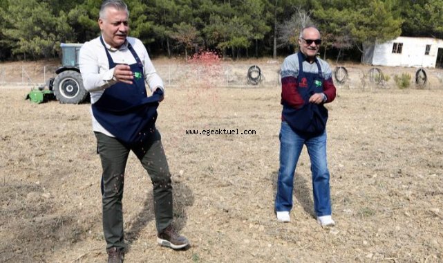 Ege Yıldızı Bornova’da parlayacak