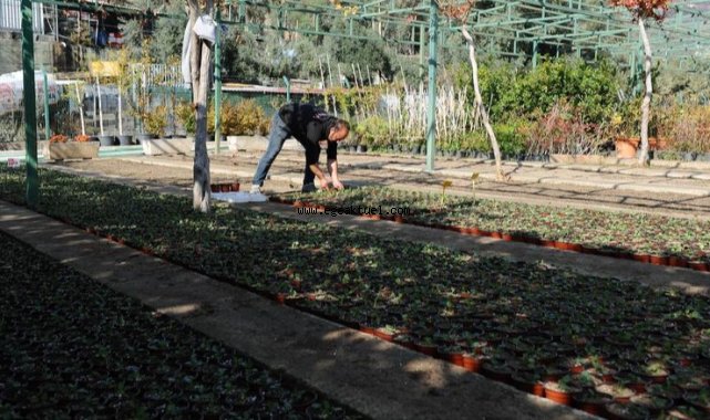 Karşıyaka’nın serasında çiçekler açıyor