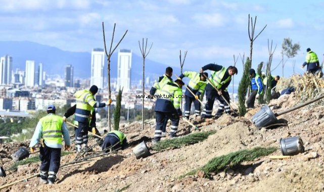 Ağaçlandırma seferberliği sürüyor