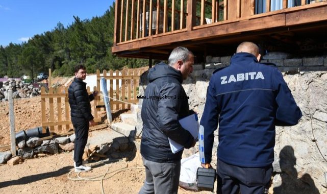 Ağaçları kestiler, doğayı katlettiler!