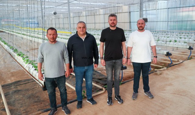 Buca Belediyesi’nden topraksız tarım uygulamaları