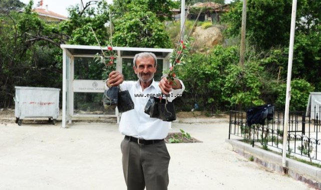 Karşıyaka Belediyesi’nden Sancaklı’da fidan dayanışması