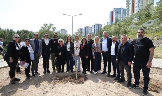 Karşıyaka’da zeytin fidanları toprakla buluştu