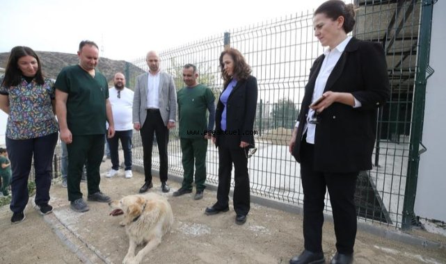 Karşıyaka yeni hayvan yaşam merkezine kavuşuyor