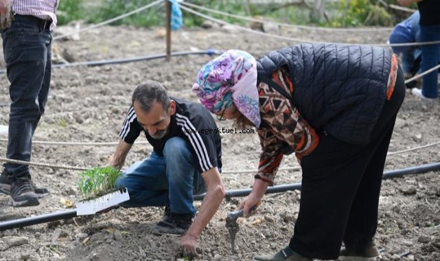 Toprakta dayanışma, sofralarda umut